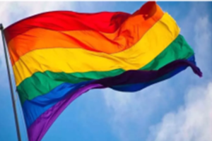 Dia internacional da luta contra a homofobia, bifobia e transfobia: pelo direito de ser e amar
