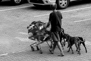 Infográficos: população em situação de rua